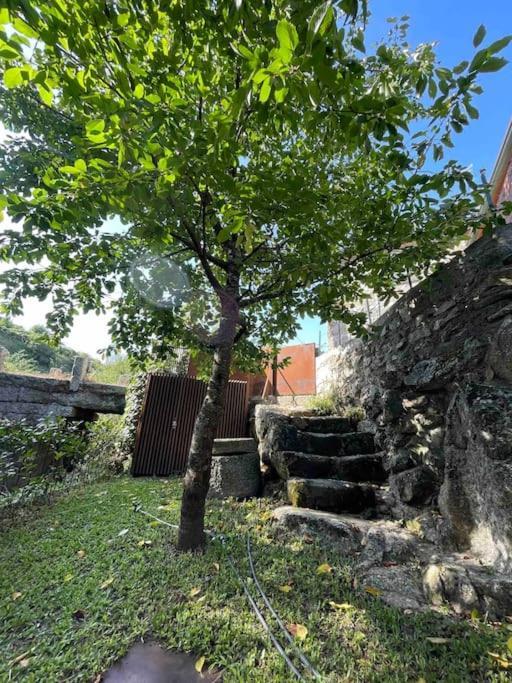 Casa Da Tintim Em Baiao Villa Eksteriør bilde