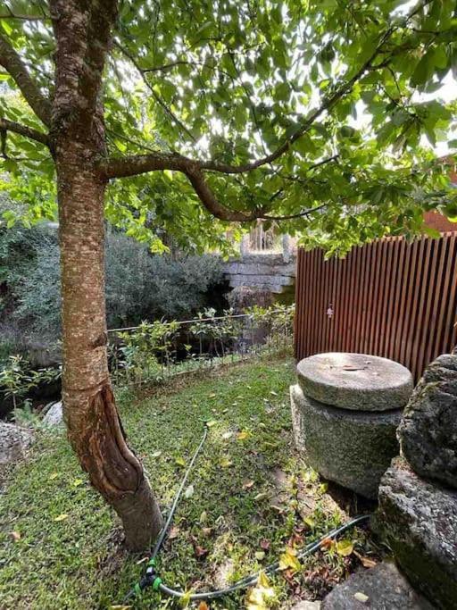 Casa Da Tintim Em Baiao Villa Eksteriør bilde