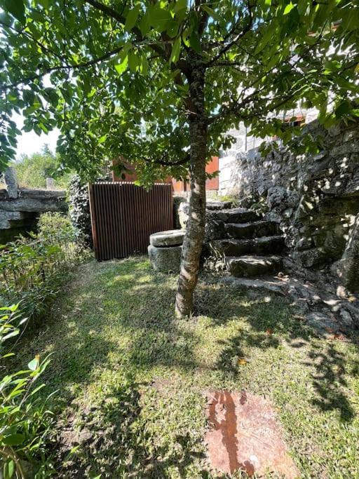 Casa Da Tintim Em Baiao Villa Eksteriør bilde